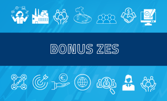 Icone di varie attività con scritta Bonus ZES